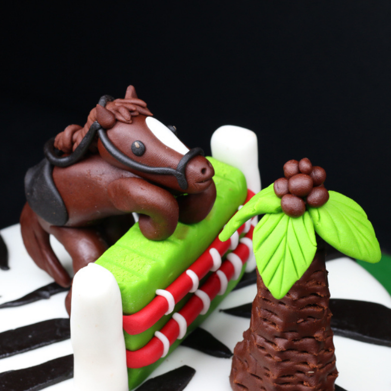 Découvrez de merveilleux gâteaux d'anniversaire personnalisés équitation et  cheval à Bruxelles